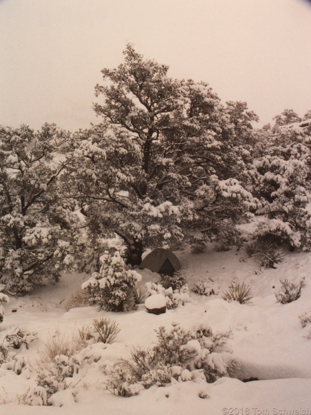 California, San Bernardino County, Lobo Point