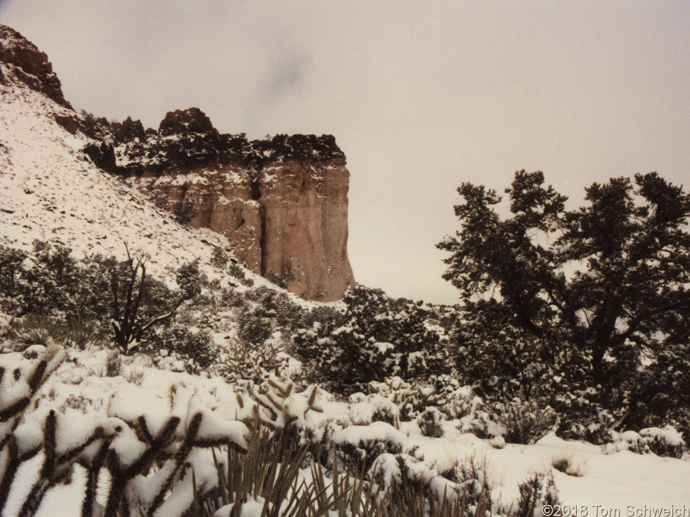 California, San Bernardino County, Lobo Point