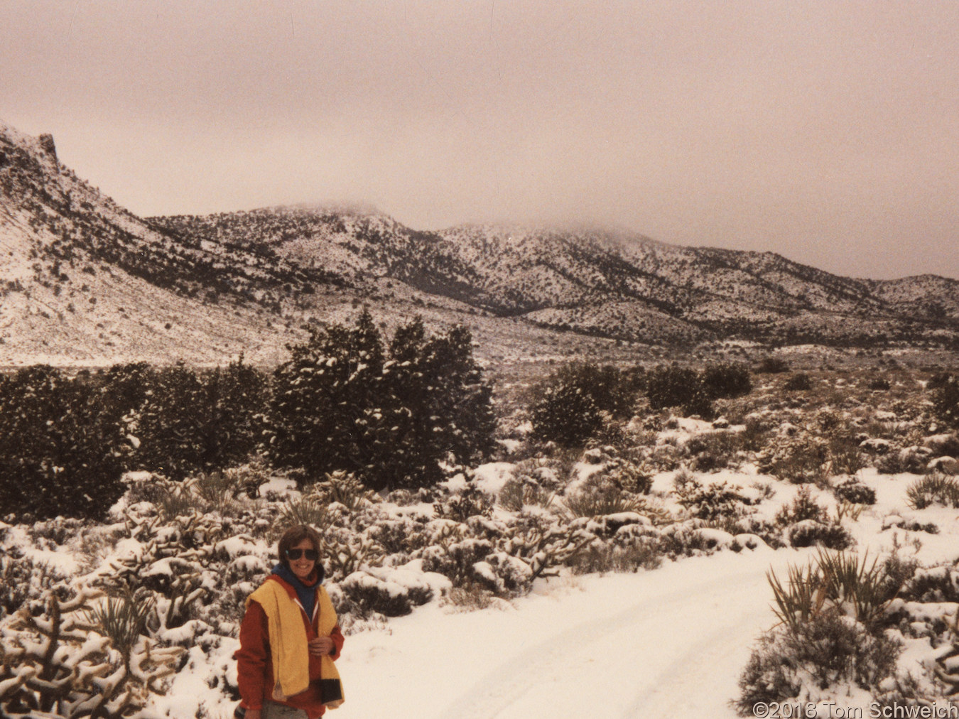 California, San Bernardino County, Lobo Point