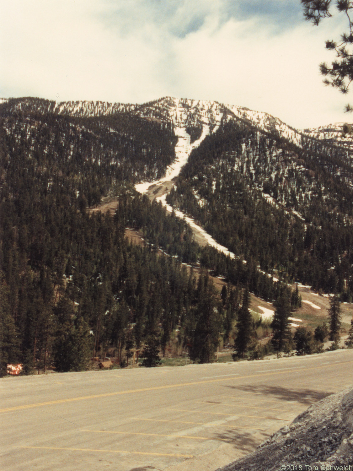 Nevada, Clark County, Mount Charleston