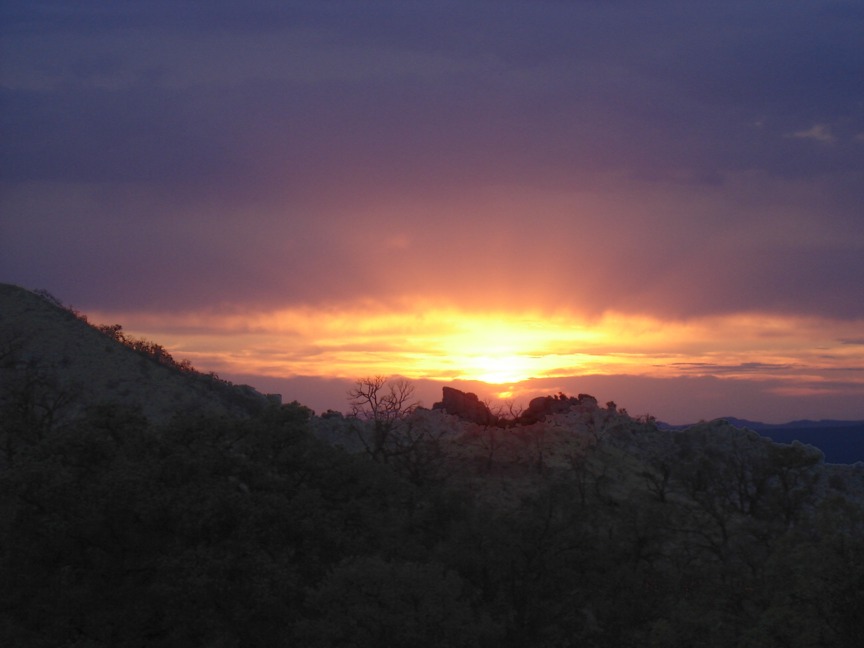 Mid Hills Campground, Mojave National Preserve, San Bernardino County, California