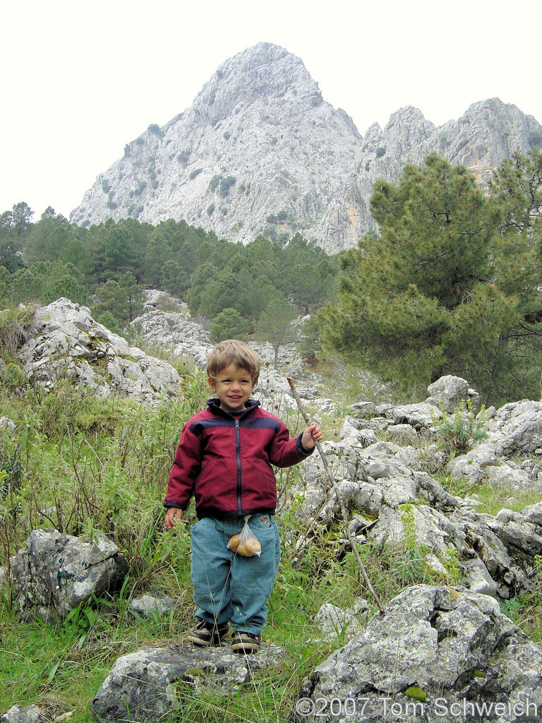 Hiking, Grazalema, Cadiz, Andalucia, Spain