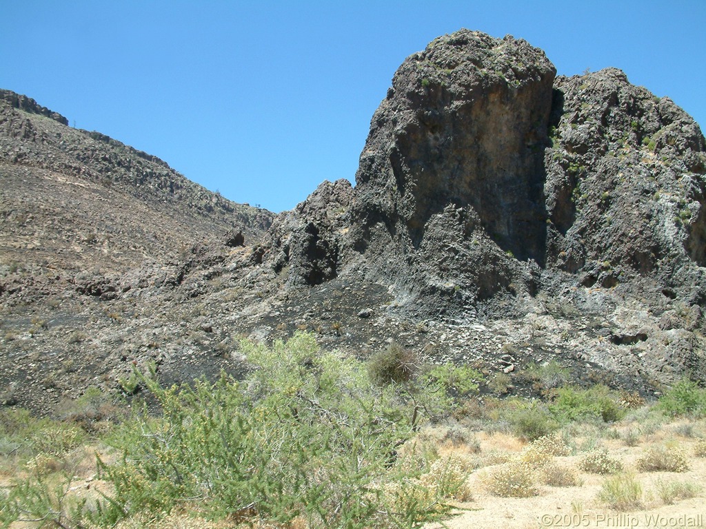 Hackberry Fire Complex, Wild Horse Canyon, Mojave National Preserve, San Bernardino County, California.