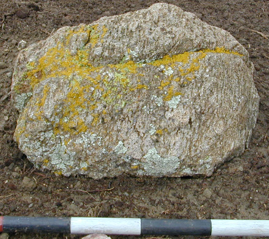 Gneiss with many lichens.