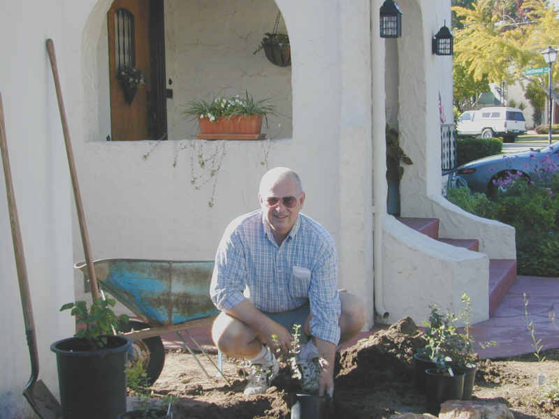 Planting <I>Rhamnus ilicifolia</I>.