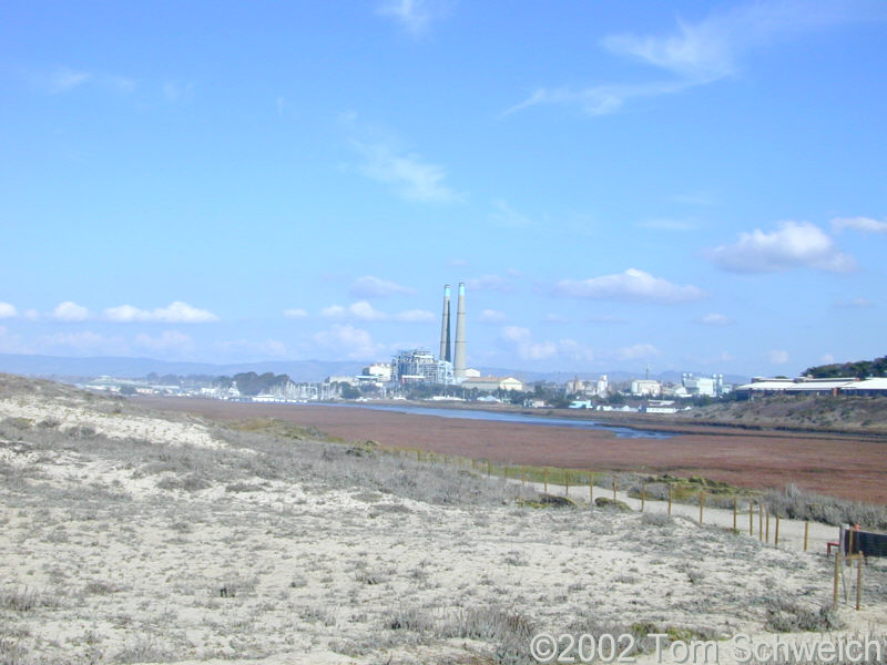 Moss Landing