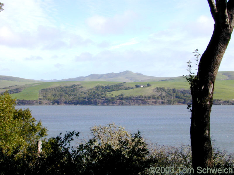 Looking east across Tomales Bay.