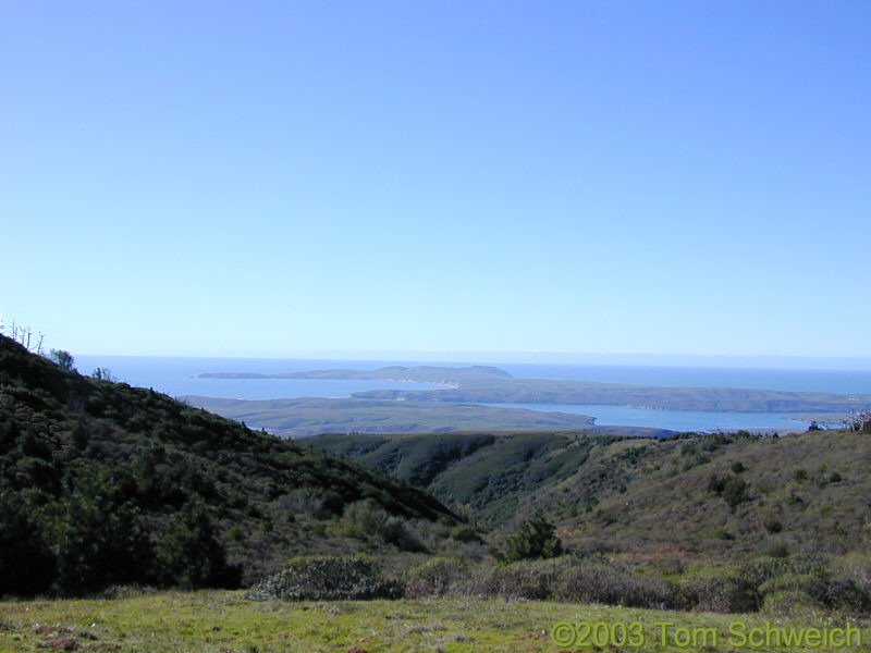 Point Reyes from Mount Vision.