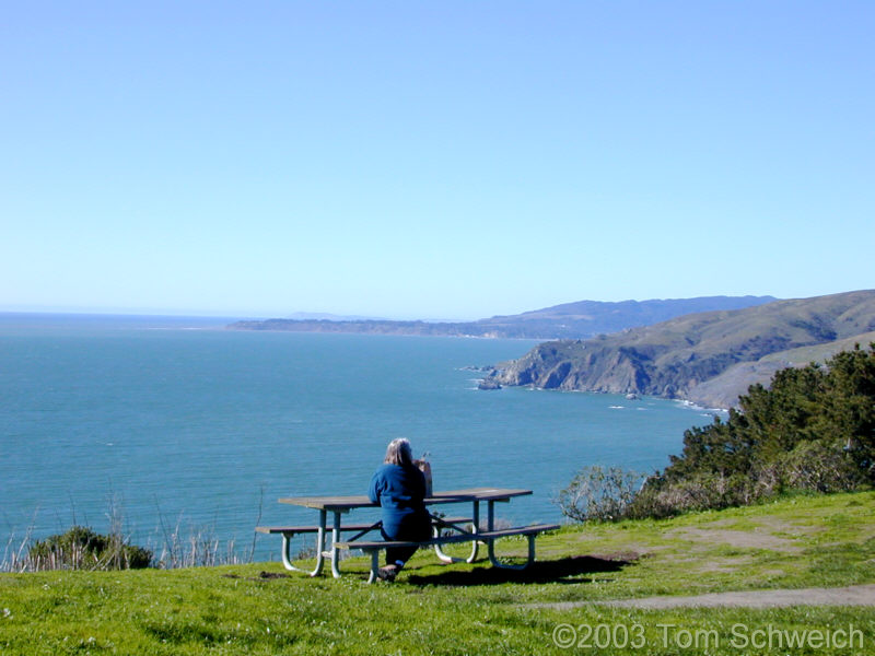 Cheryl surveys the coast from Muir Beach Overlook.