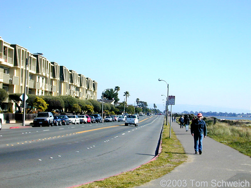 Shoreline at Westline