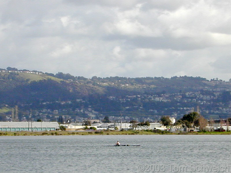 Lone rower on San Leandro Bay