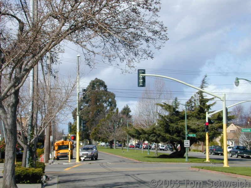 Encinal, looking across Fernside.