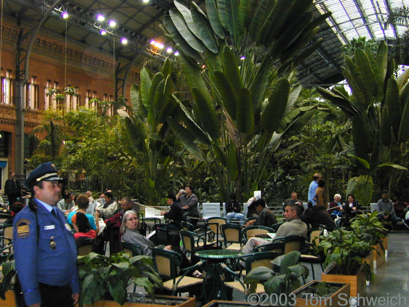 First morning in Spain at Atocha.