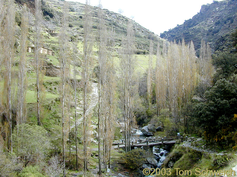 Puente Buchite