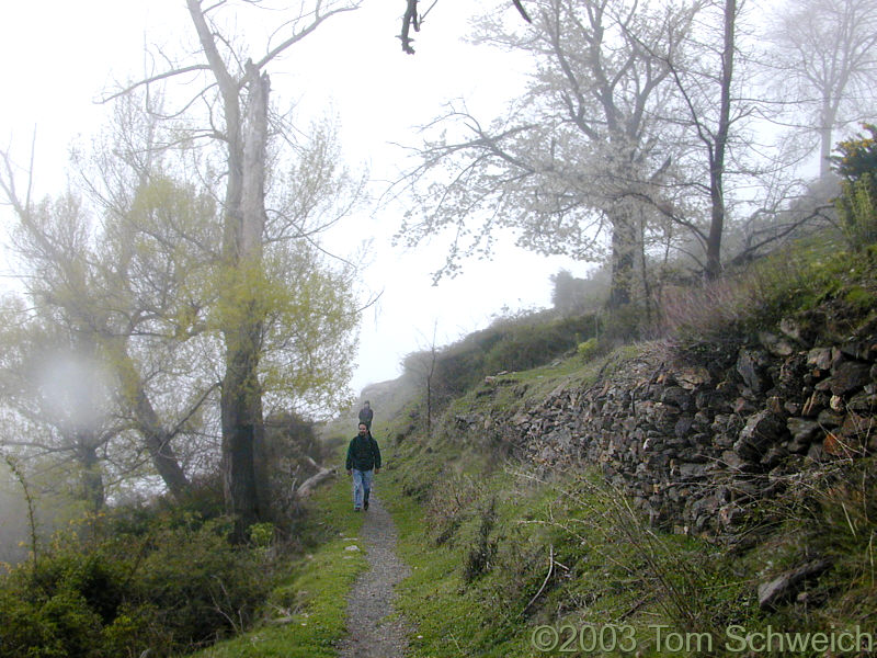 Walking in the fog.