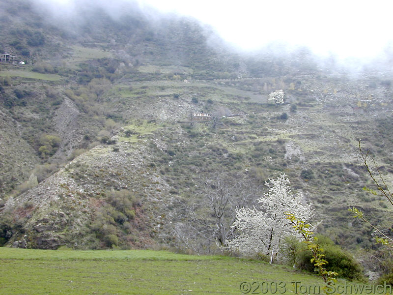 Looking across Barranco del Poqueira.