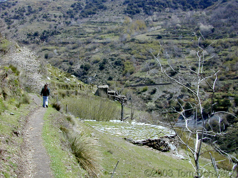 Threshing floor to right of trail.