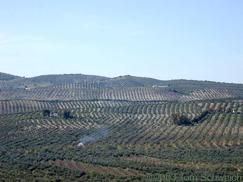 Fields between Granada and Sevilla.