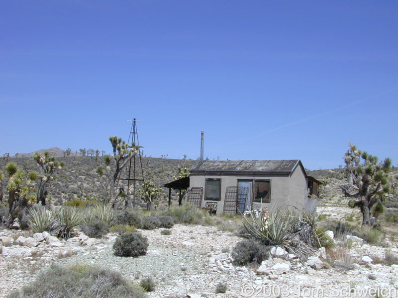 Rogers Camp in Piute Valley