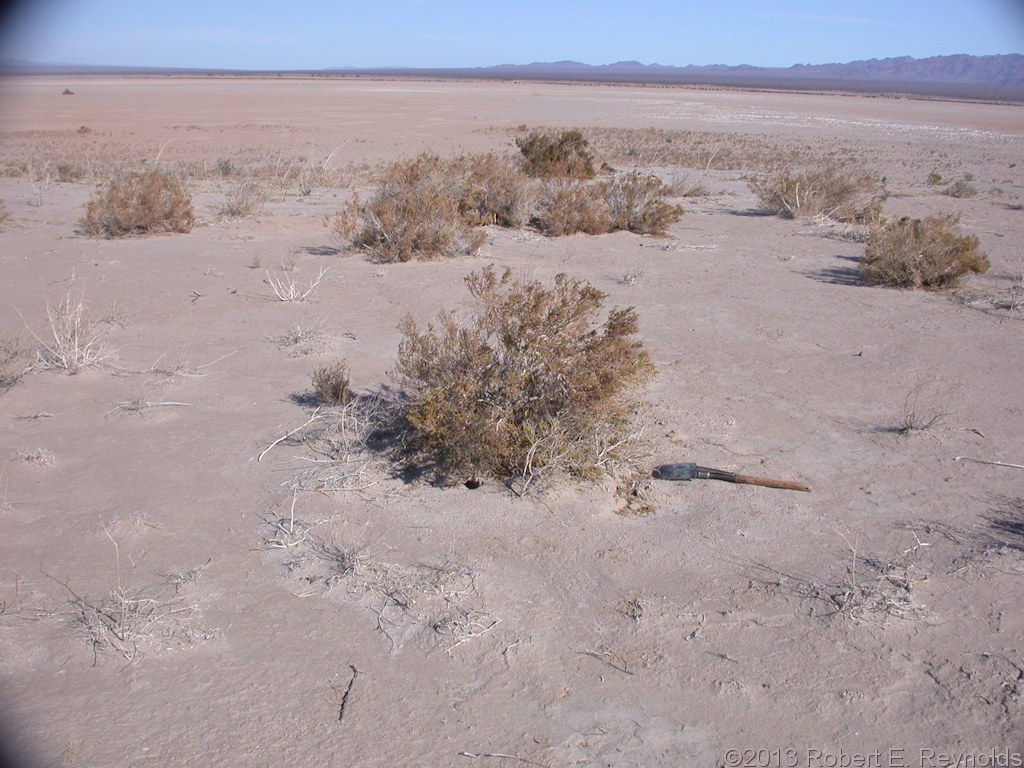 California, San Bernardino County, Danby Lake