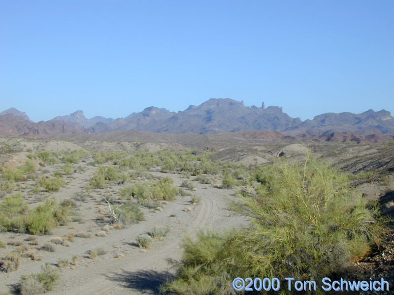 Bowmans Wash, looking north from near Cross Roads on Parker Dam Road.