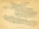Full Size Image