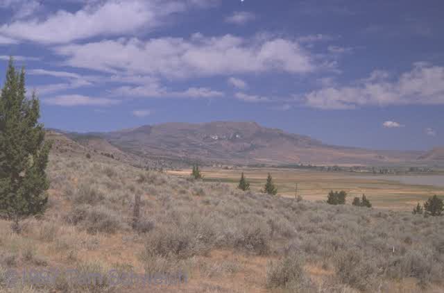 Highway 395, at the junction with California Highway 120.