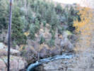 Full Size Image