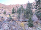 Full Size Image