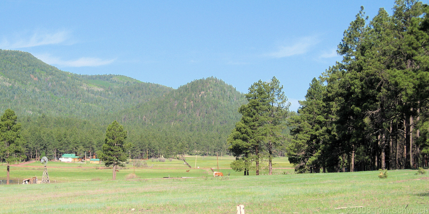 Arizona, Apache County, Alpine