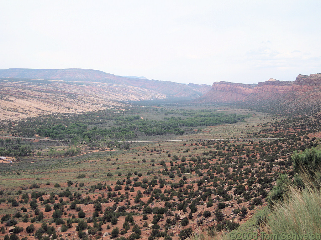 Utah, San Juan County, Comb Ridge