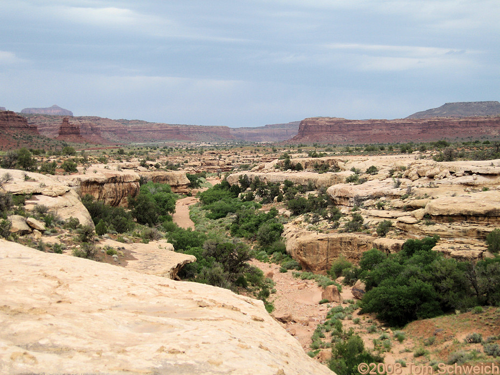 Utah, San Juan County, White Canyon