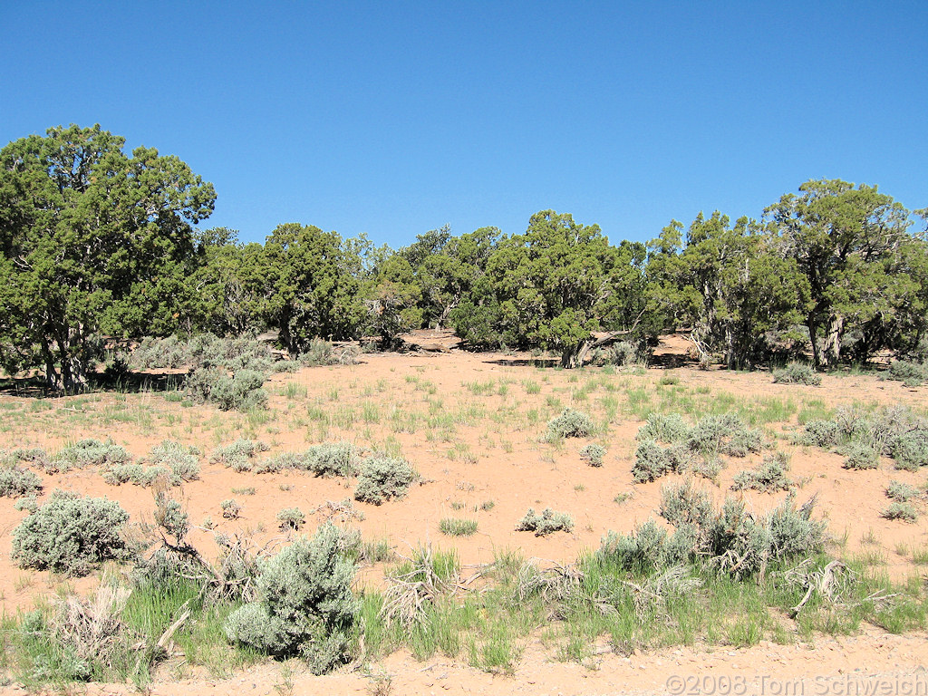 Utah, Emery County, Cedar Mountain