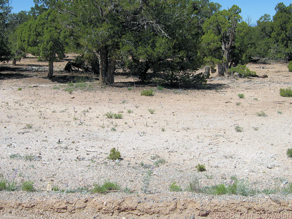 Utah, Emery County, Cedar Mountain