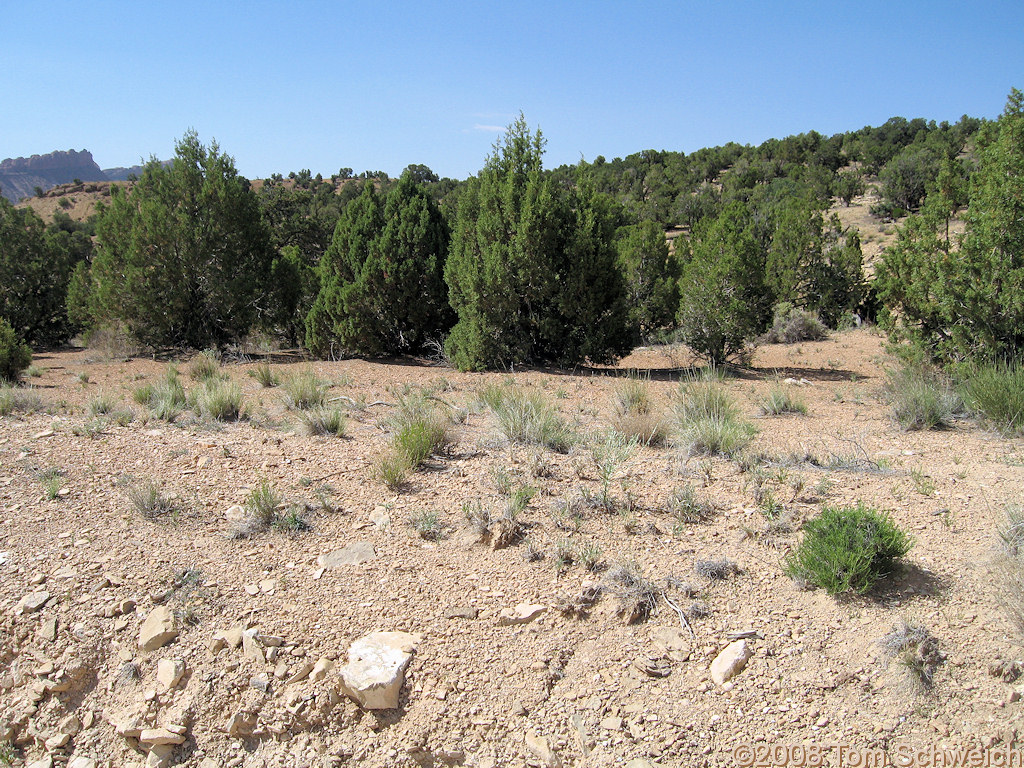 Utah, Garfield County, Capitol Reef National Park