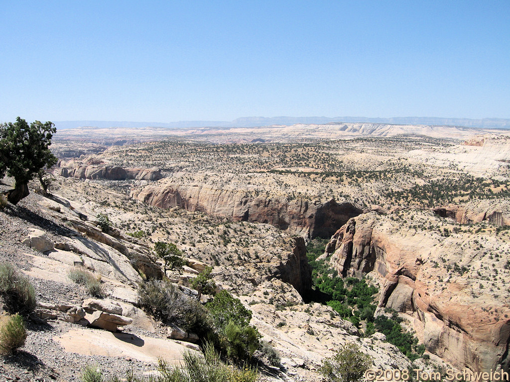 Utah, Garfield County, Calf Creek