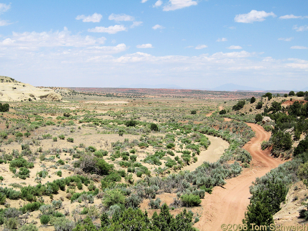 Utah, Garfield County, Left Hand Collet Canyon