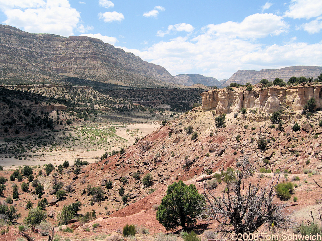 Utah, Garfield County, Left Hand Collet Canyon