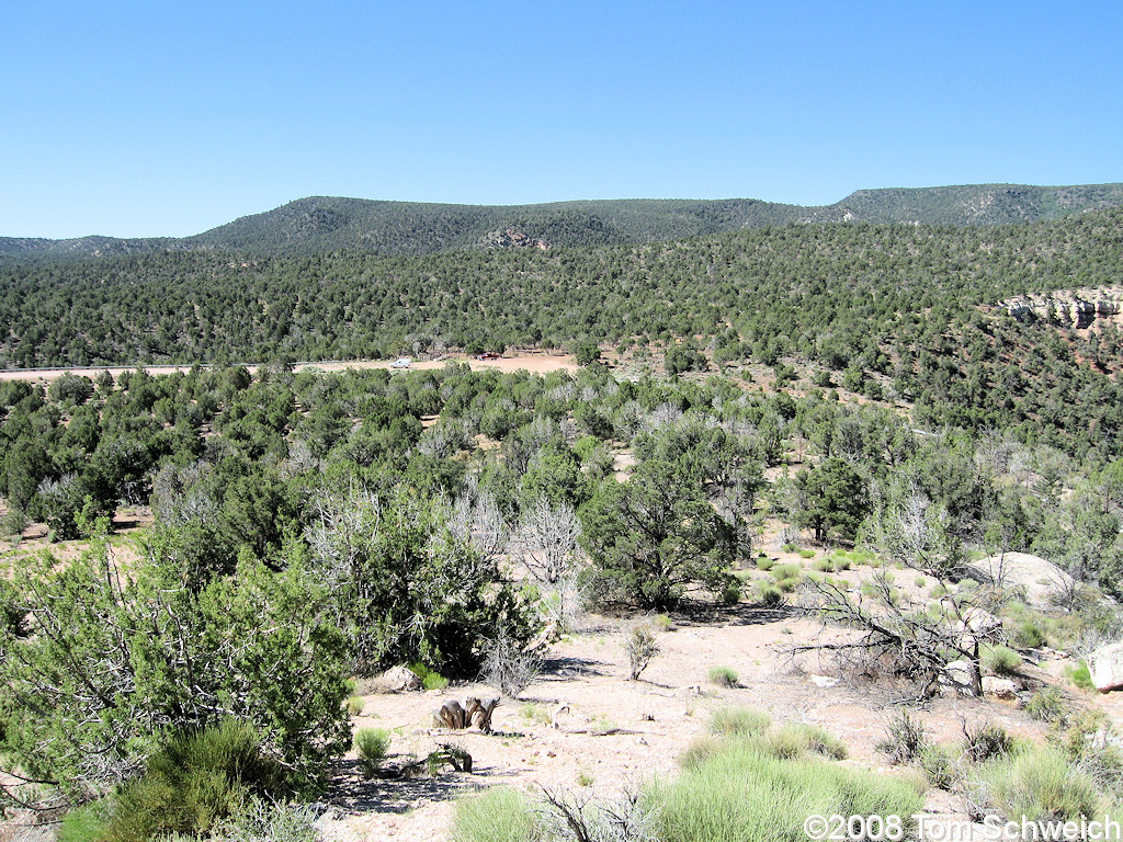 Arizona, Mohave County, Quail Hill