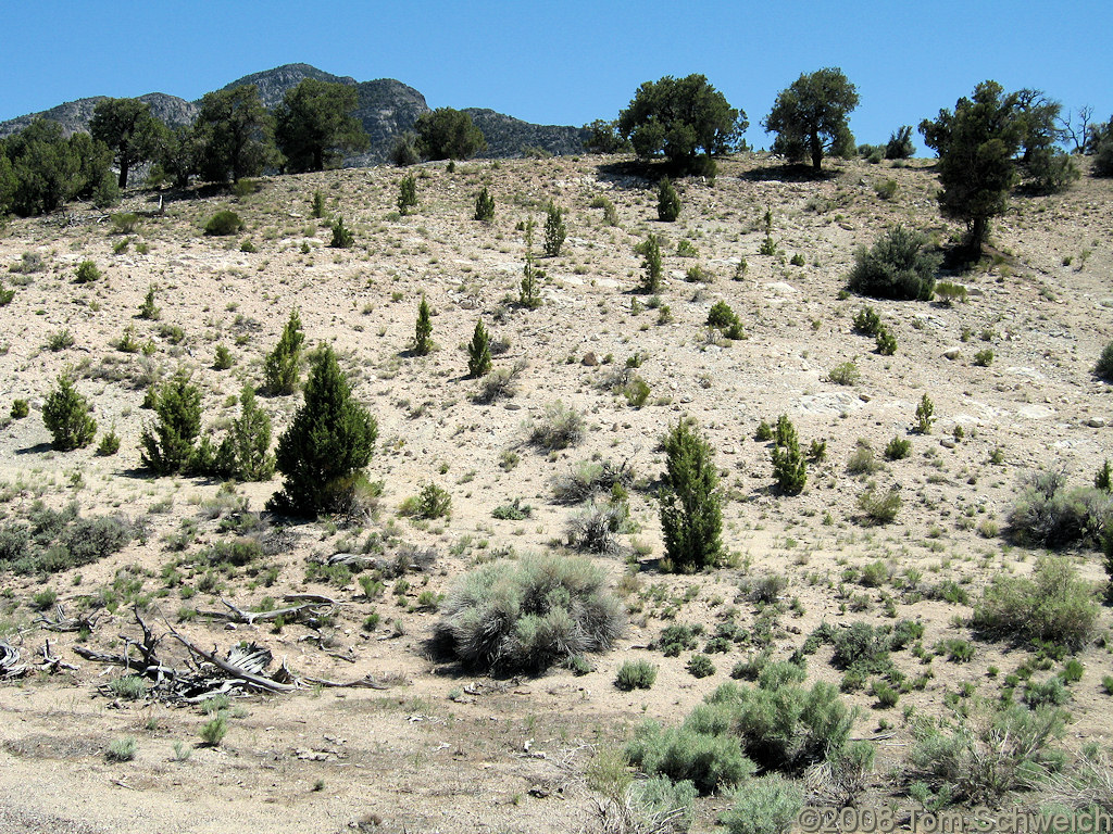 Utah, Beaver County