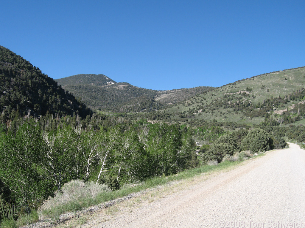 Nevada, White Pine County, Great Basin National Park