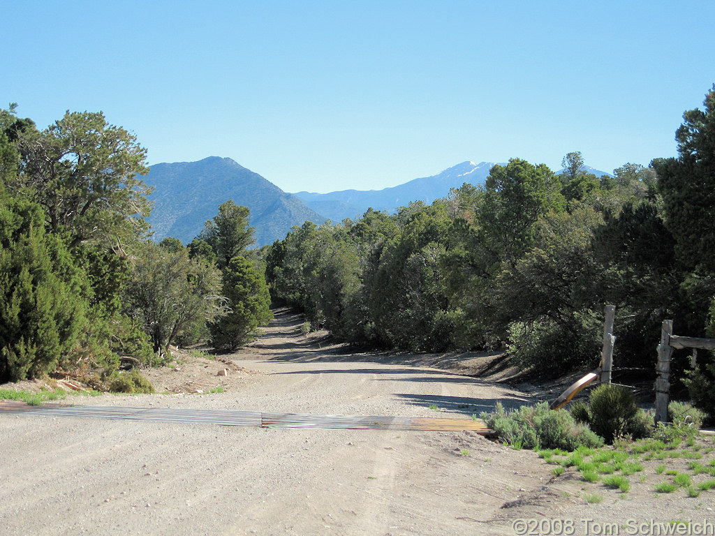 Nevada, White Pine County, Osceola