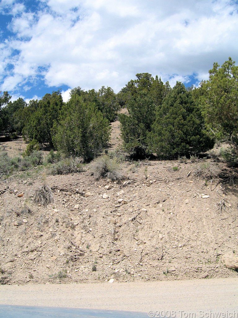 Nevada, White Pine County