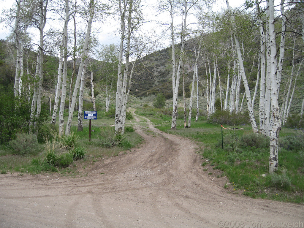 Nevada, White Pine County