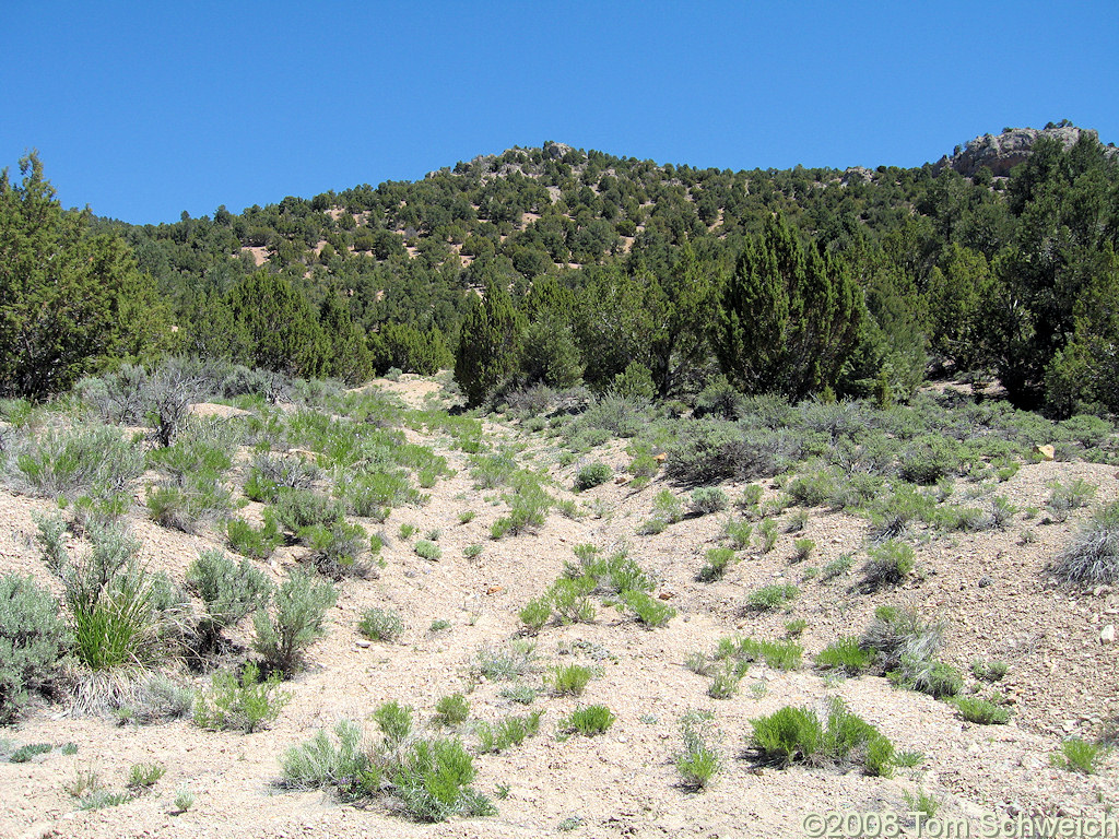 Nevada, Eureka County, Secret Canyon