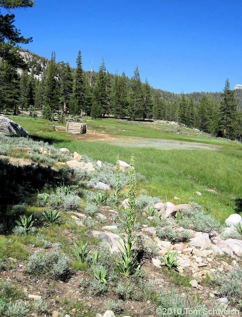 California, Tuolumne County, Soda Springs