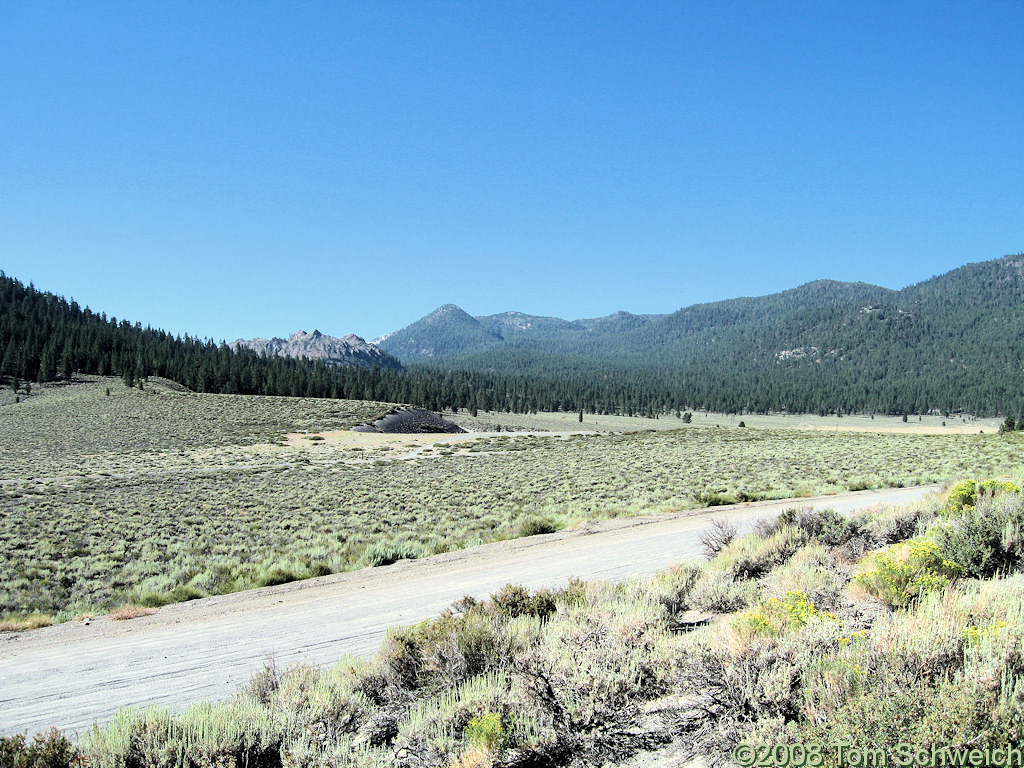 Californa, Mono County, East Craters Sand Flat