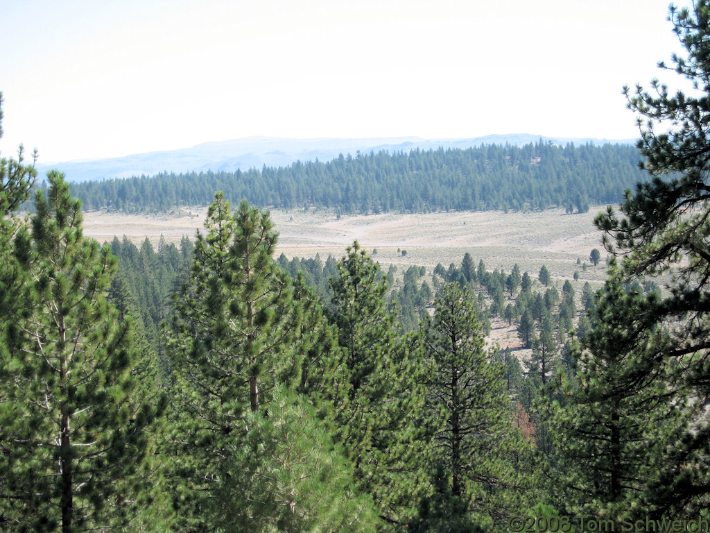 Californa, Mono County, East Craters Sand Flat