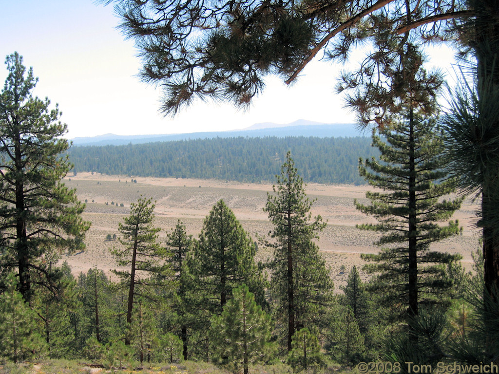 Californa, Mono County, East Craters Sand Flat