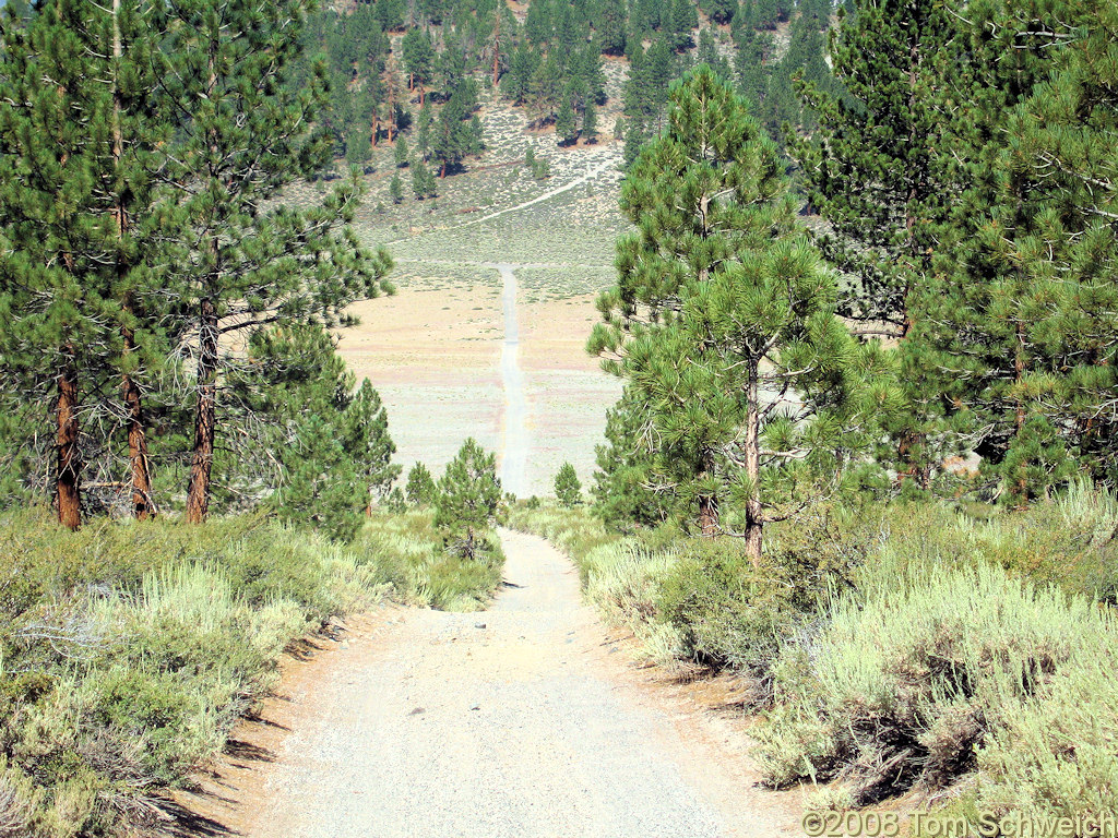 Californa, Mono County, East Craters Sand Flat